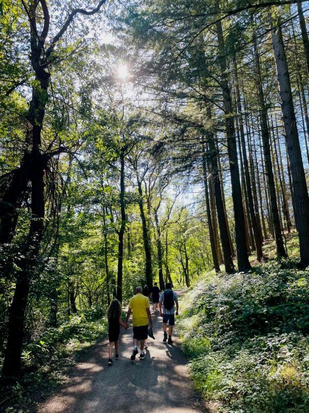 Apartmán Landschaftstraeume Simmerath Exteriér fotografie